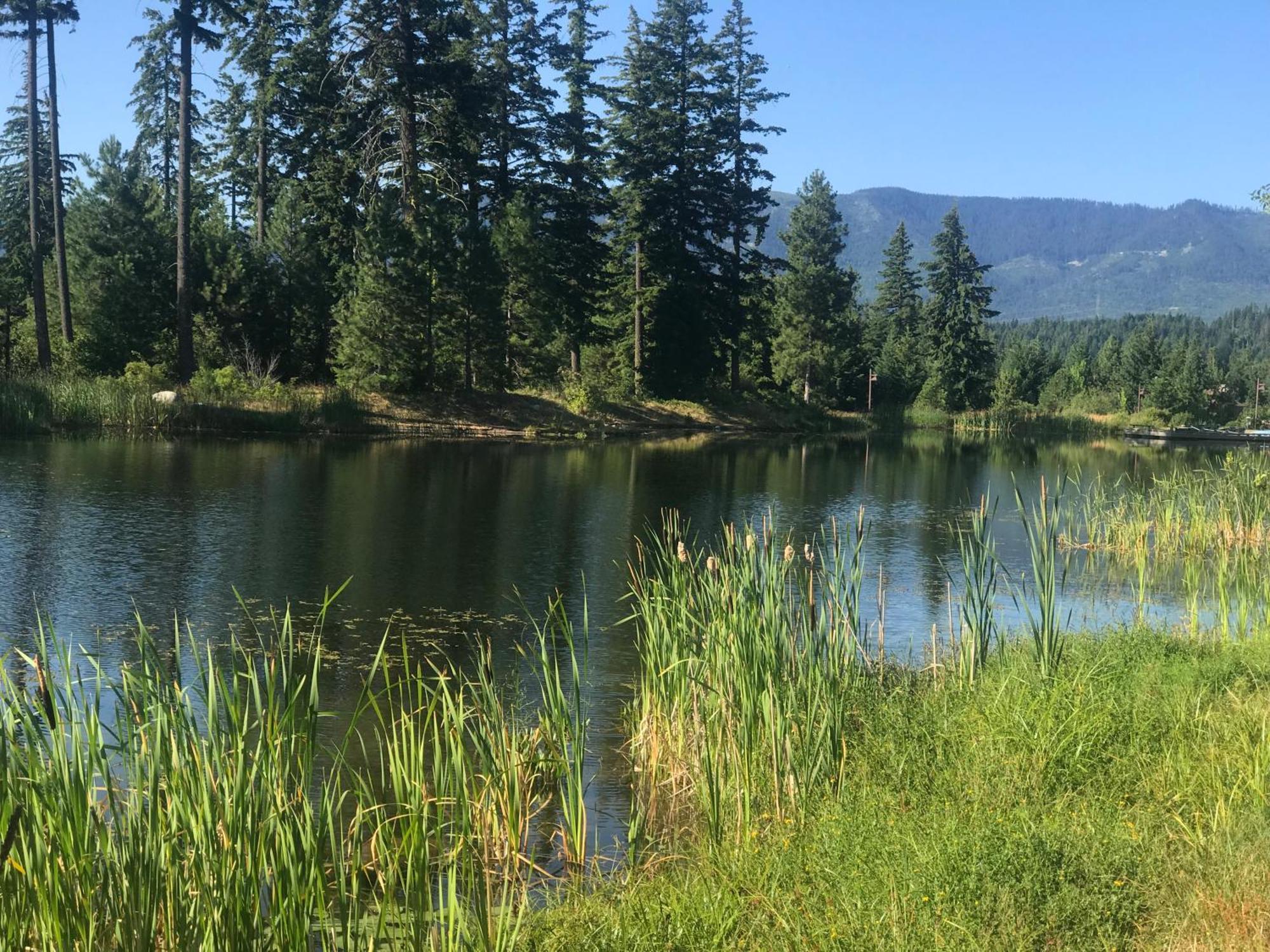 The Best Luxury River View Full Apartment Lodge Unit - 5049 Cle Elum Exterior photo